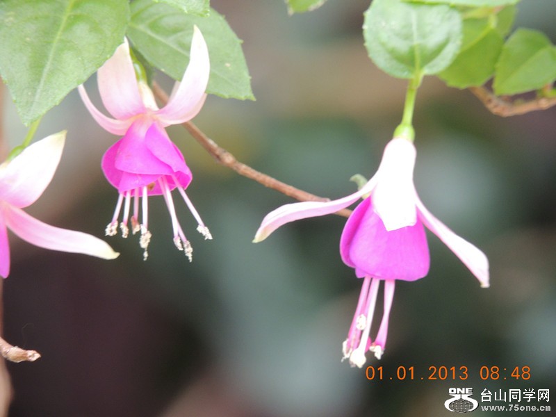 2013 vacation 677_.jpg