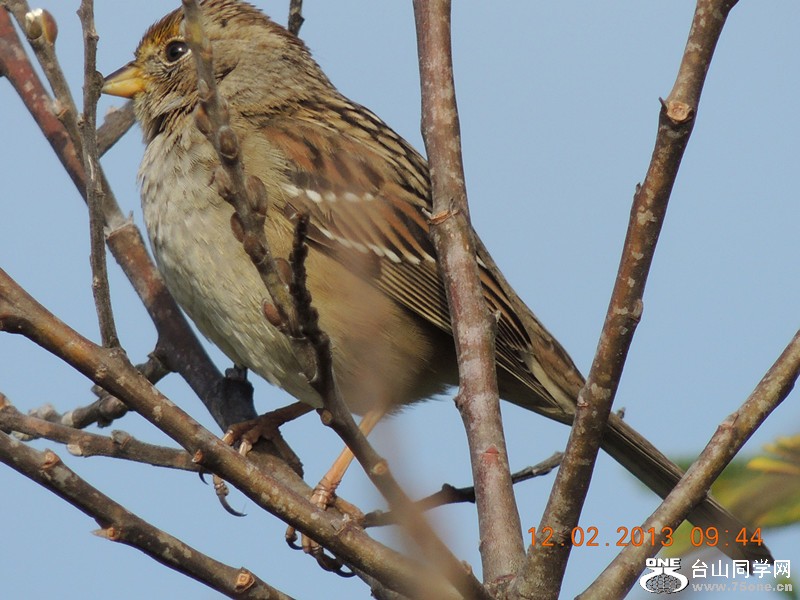 bird 404_.jpg