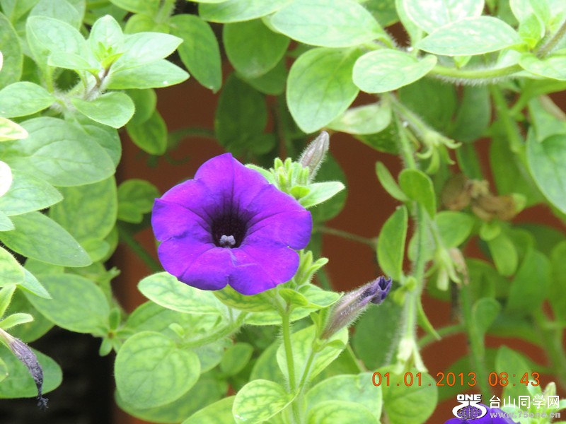 2013 vacation 664_.jpg