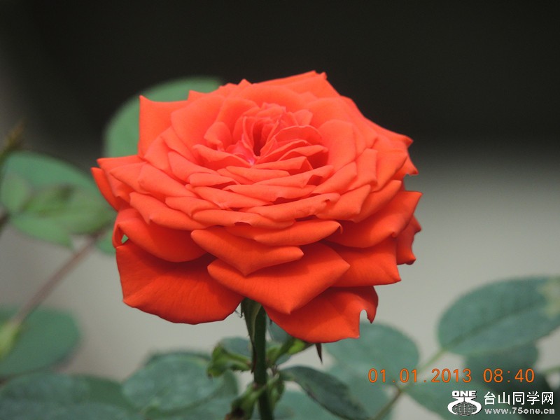 2013 vacation 648_.jpg