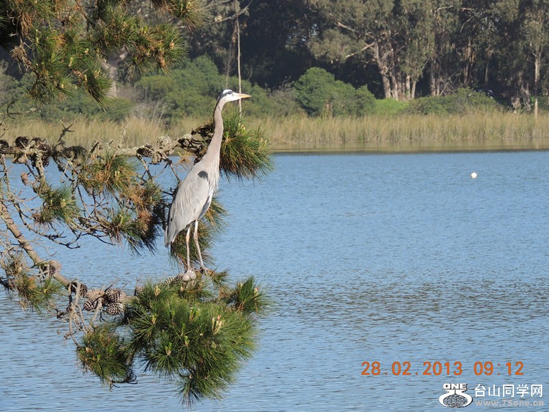 bird 1248_.jpg