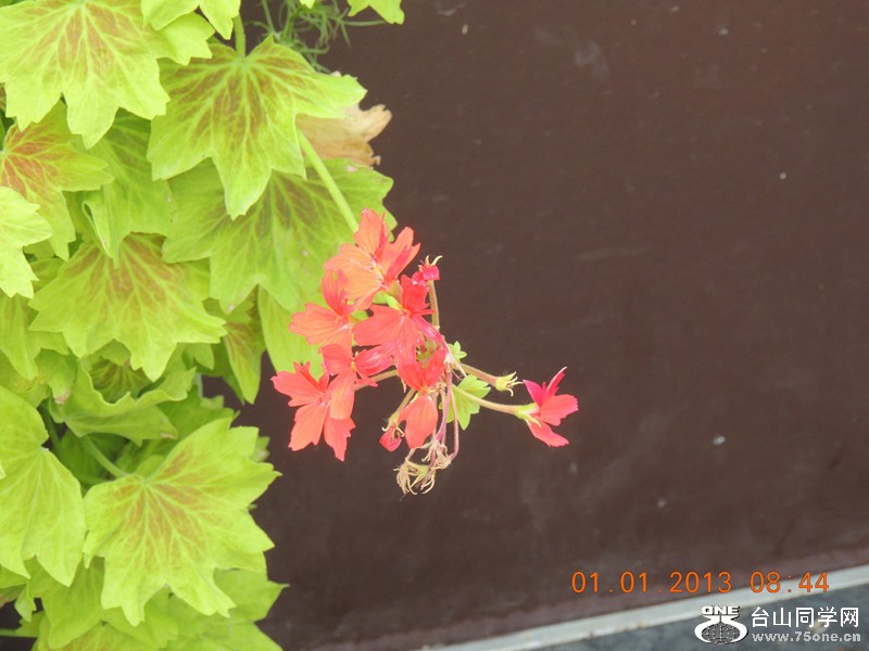 2013 vacation 669_.jpg