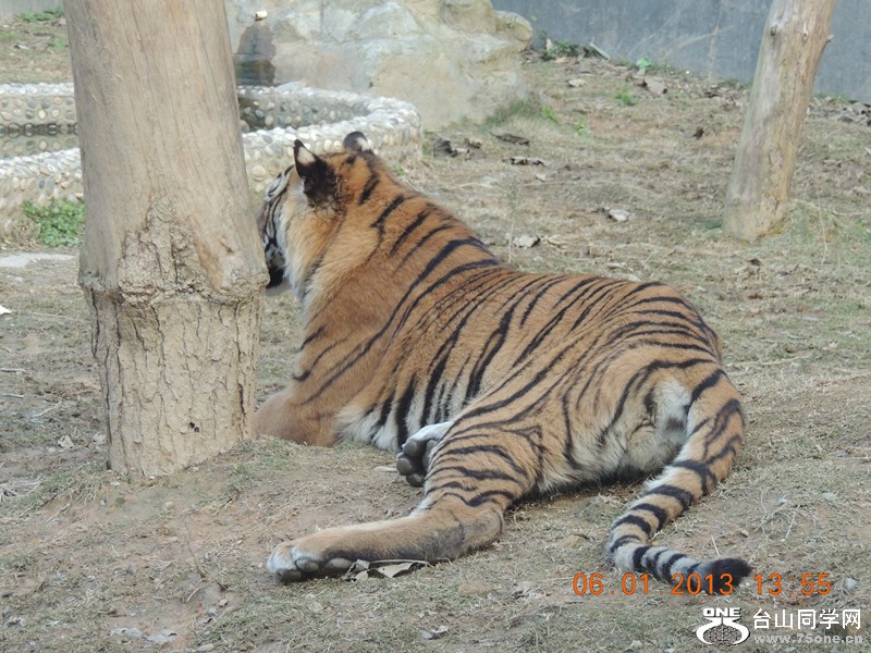 2013 vacation 1204_.jpg