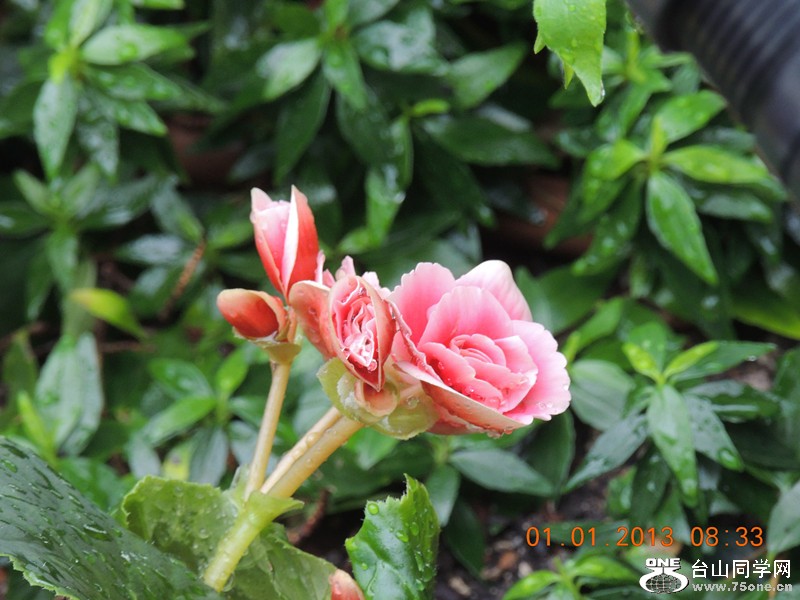 2013 vacation 615_.jpg