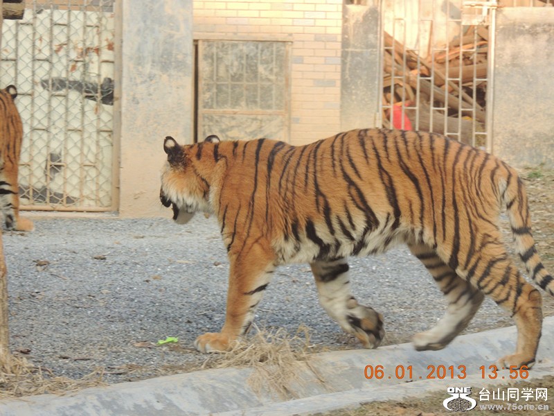 2013 vacation 1205_.jpg