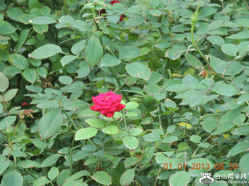 2013 vacation 637_.jpg
