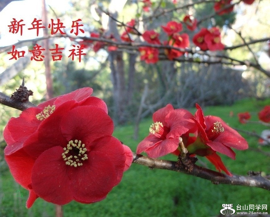 DSC04762-dz-1.jpg