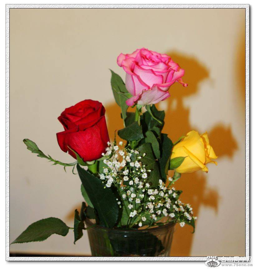IMG_7438_1.jpg