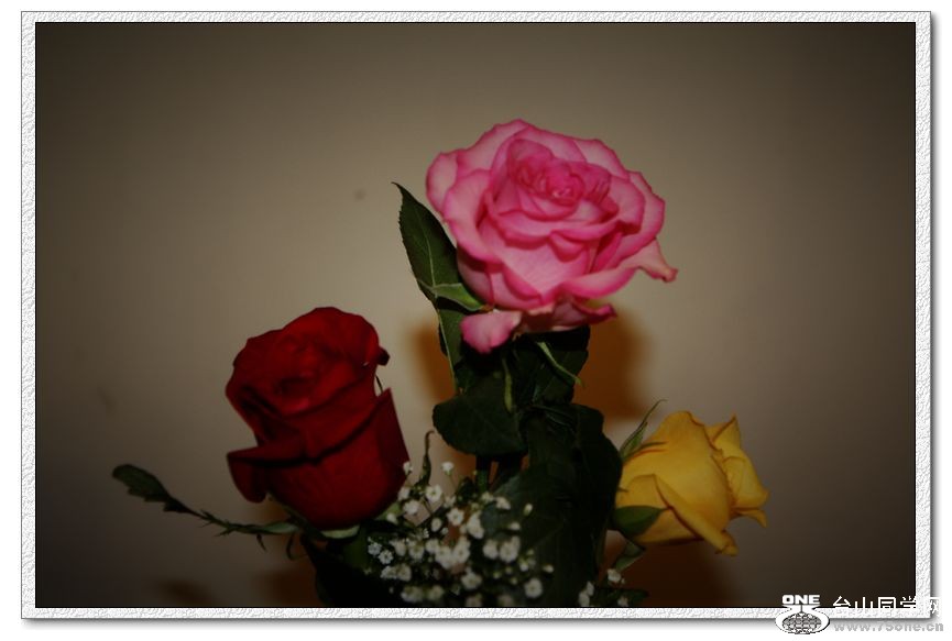 IMG_7441_1.jpg