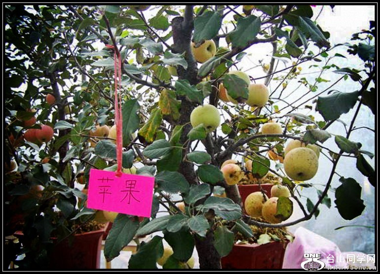 20091118192238_conew86.jpg