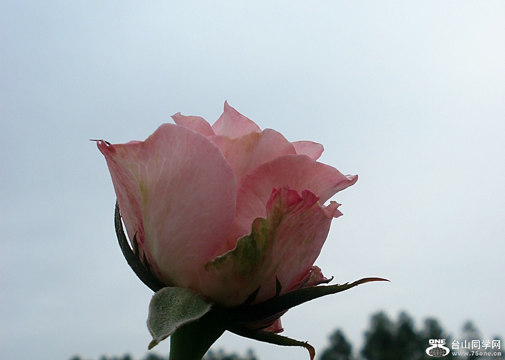 DSC00035.jpg