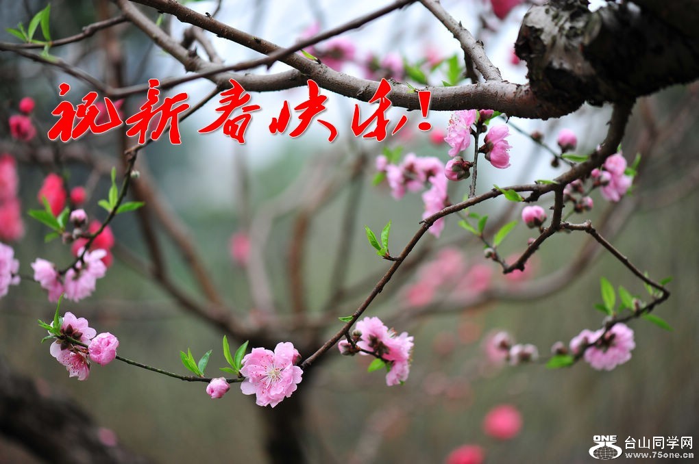  nEO_IMG_DSC_9710_conew1.jpg