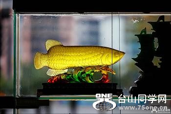 �}�u -2_46570_ff6b2e72e6e0716.jpg