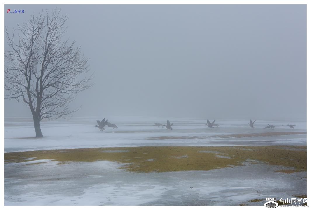 �}�u -40-076-1.jpg