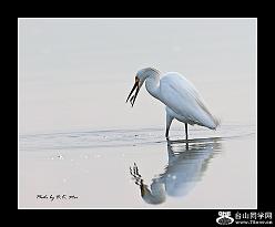 �}�u -2_46442_5cd1e3db87e596d.jpg