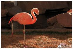 �}�u -2_405_94d915cdcd4c3ae.jpg