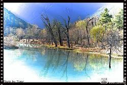 �}�u -2_36183_538c4bf1e56eef1.jpg