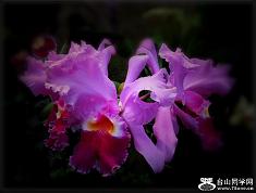 �}�u -2_5844_934a9ac3131df24.jpg