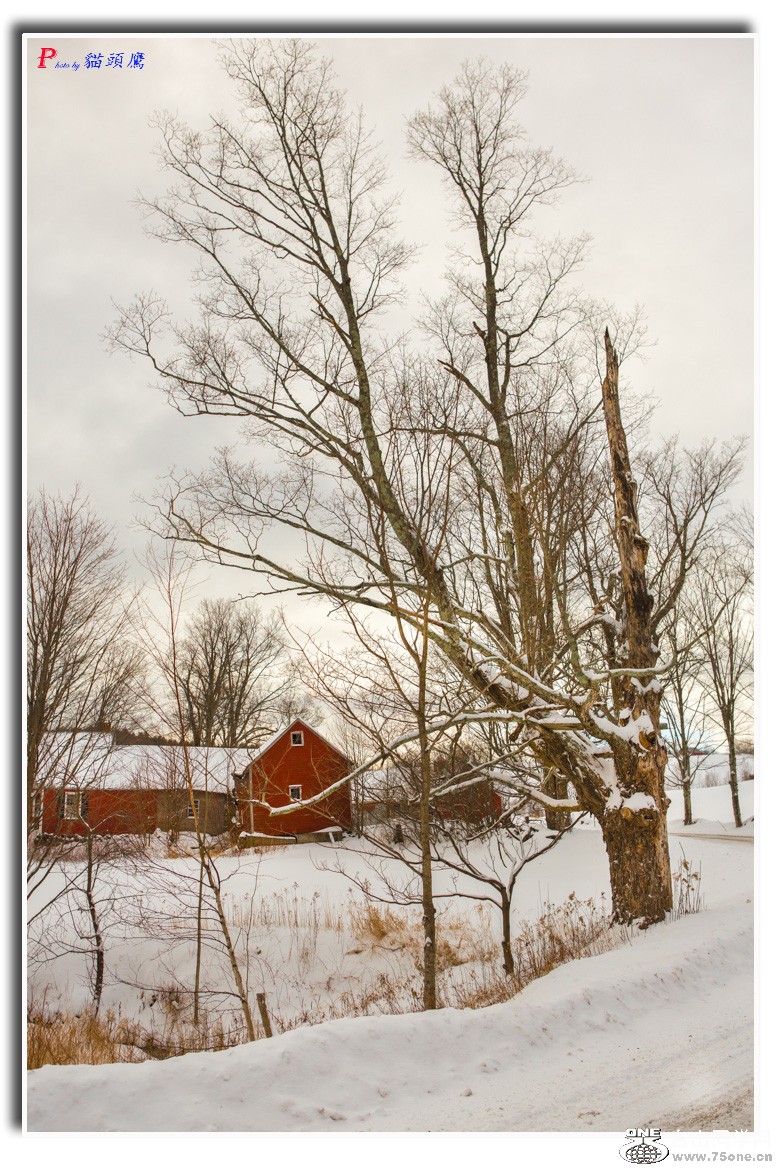 ����ѩ��-2 366-6.jpg