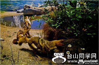 �}�u -2_35075_9e59c23ea7bf677.jpg