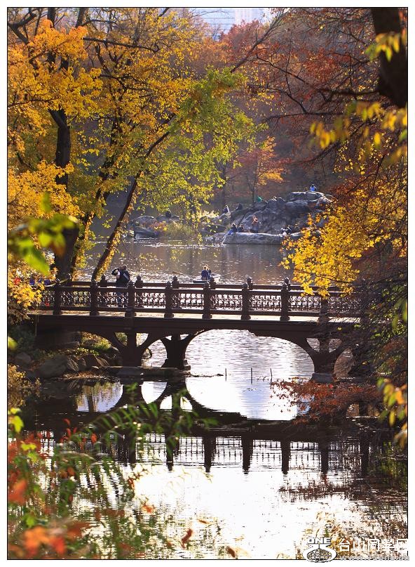 �}�u -51-373-1.jpg