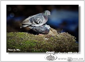 �}�u -2_35102_bf76a6c69094134.jpg