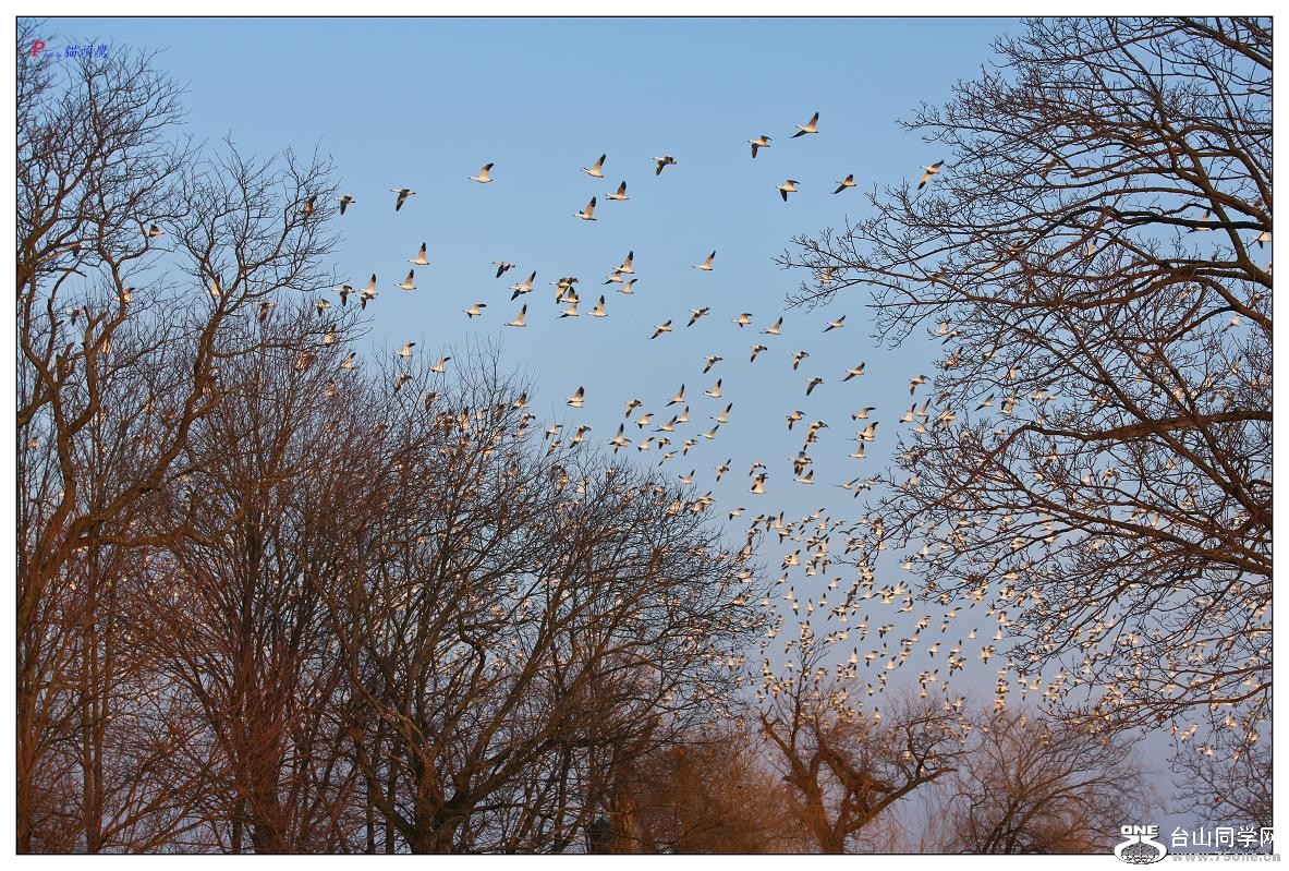 �}�u -55-218-1.jpg