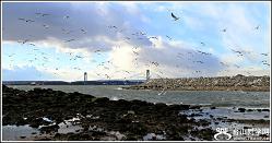 �}�u -2_35462_46175214268097e.jpg