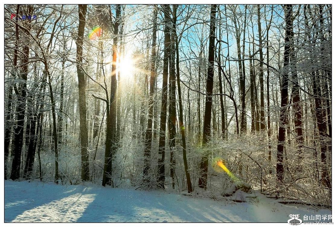 �}�u -030-450-1.jpg