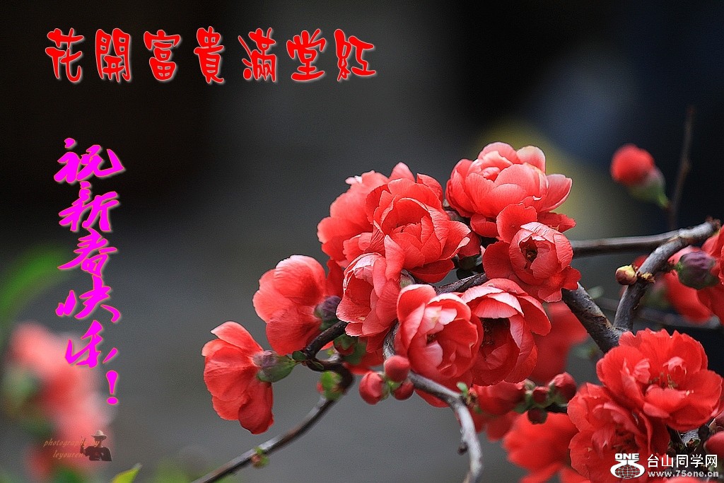 ��Ƭ 1630_conew1.jpg