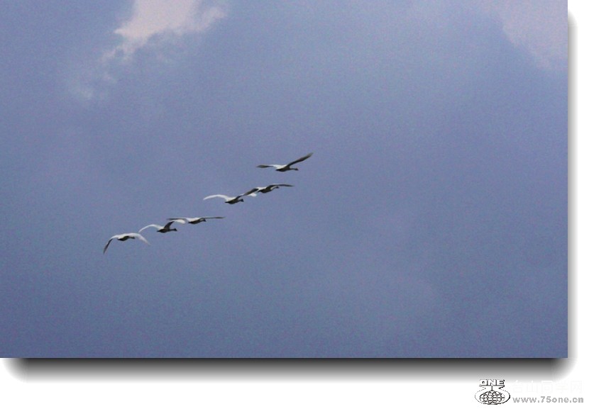 IMG_7694A.jpg