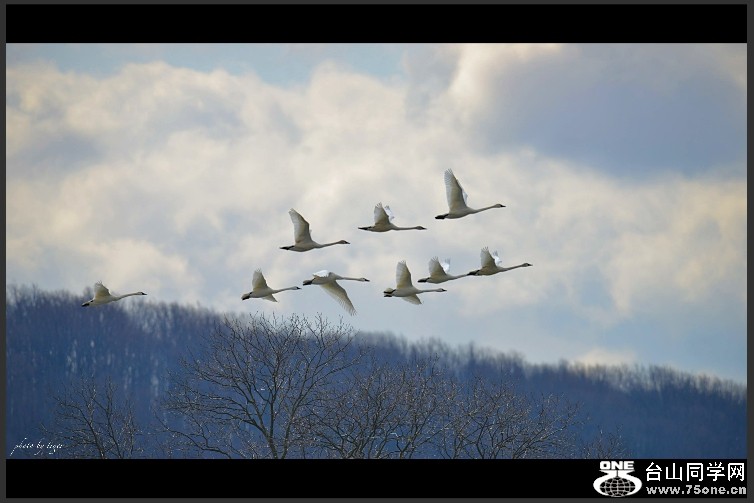 untitled 3972sen.jpg