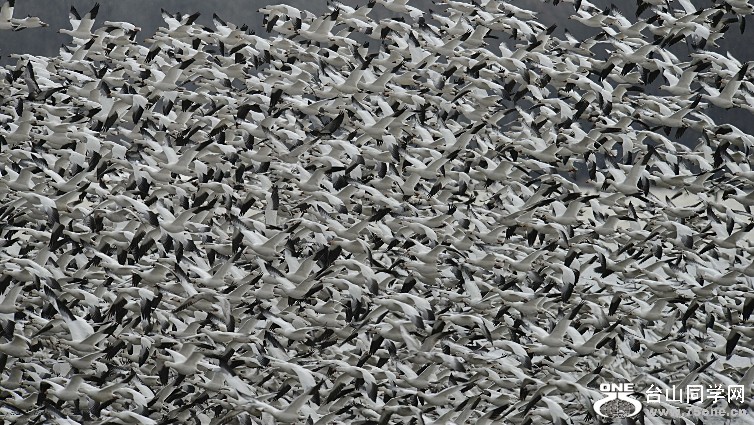 untitled 3923 sen.jpg