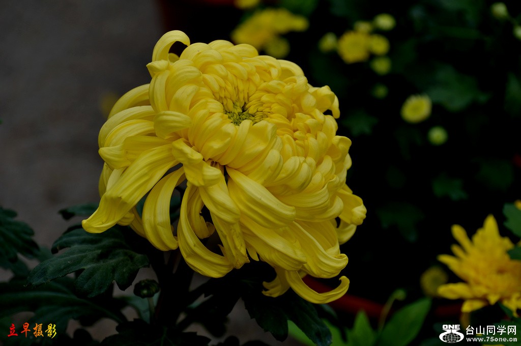 DSC_6149.JPG