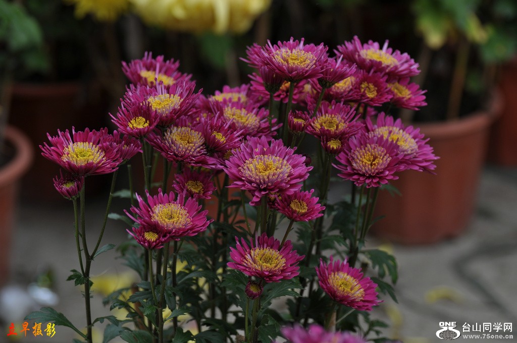 DSC_6193.JPG