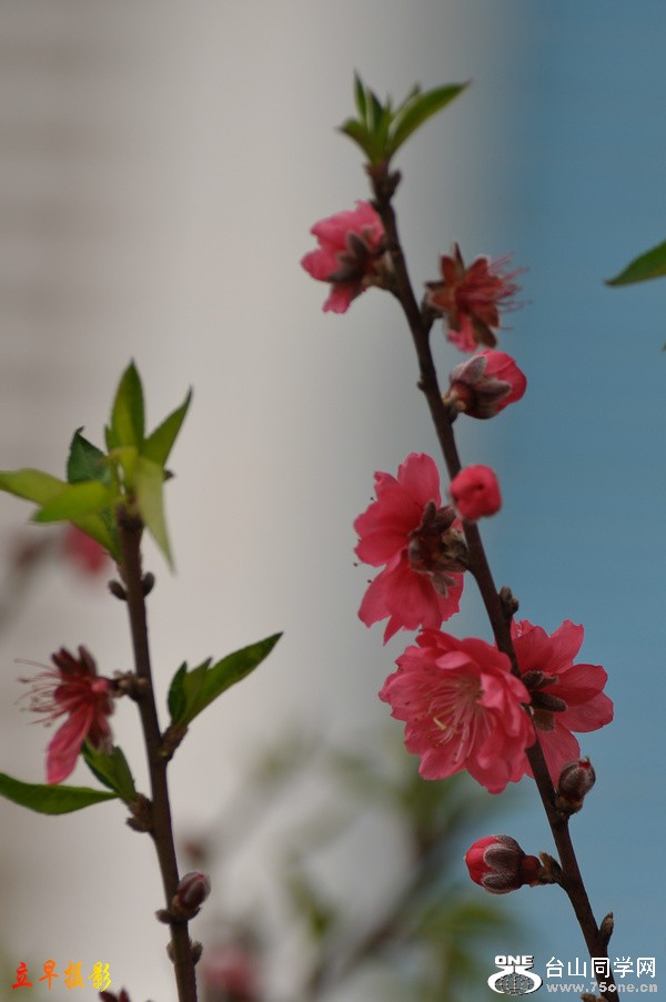 DSC_6104.JPG
