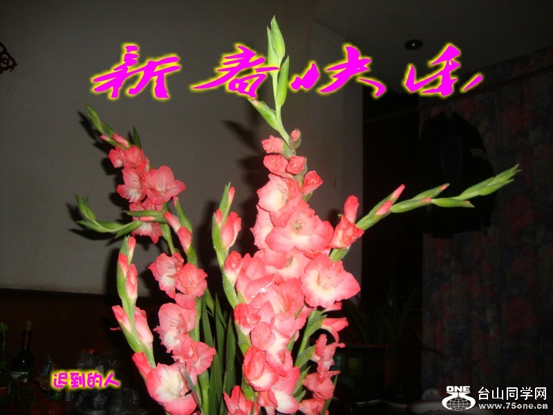 新1.jpg