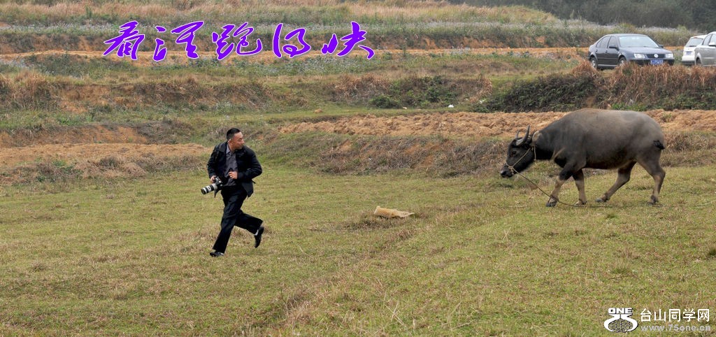 DSC_9277_conew1.jpg