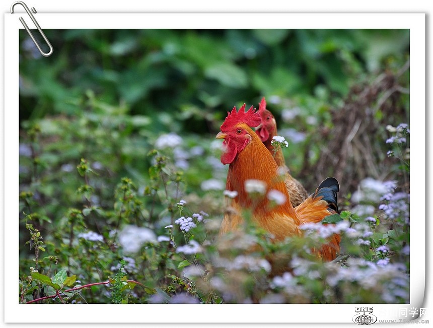 DSC_0286.jpg