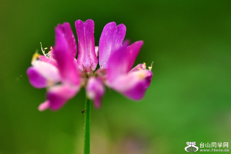 DSC_0071.jpg