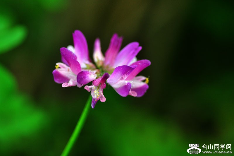 DSC_0079.jpg