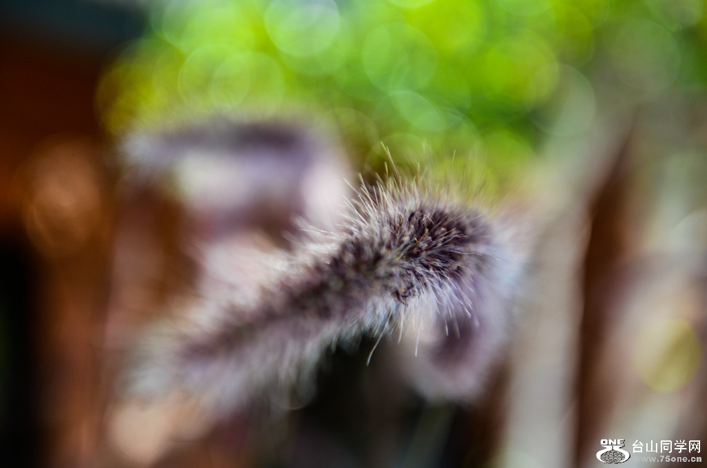 DSC_9754.jpg