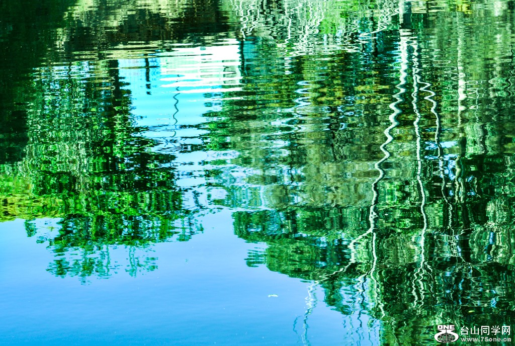 DSC_1177.jpg