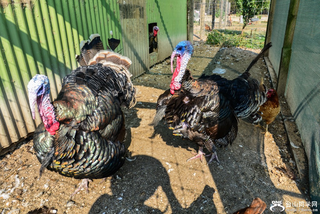 DSC_2854.jpg