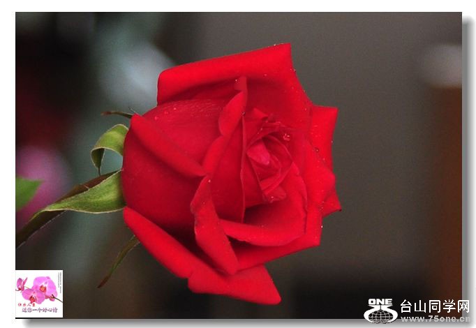  Ƭ 023.jpg