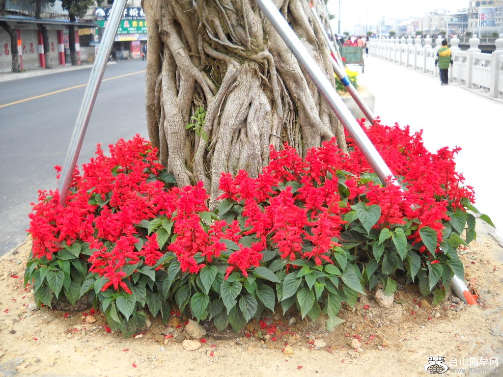 DSCN2961.jpg