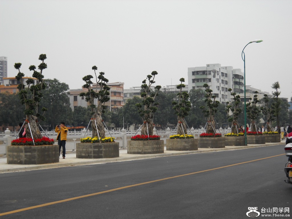 DSCN2956.jpg