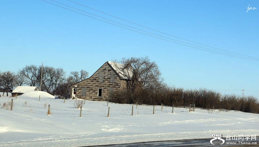 51281333=.jpg