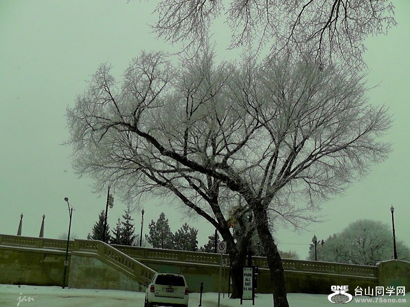 H3020089=.jpg