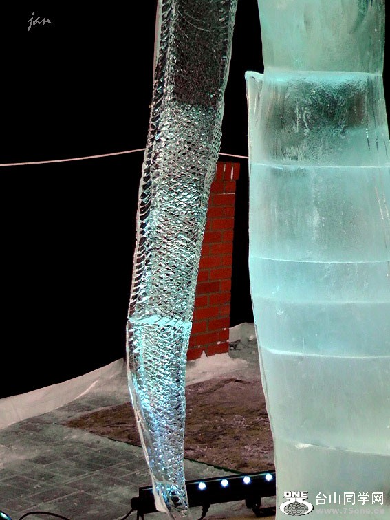 H3190039=.jpg